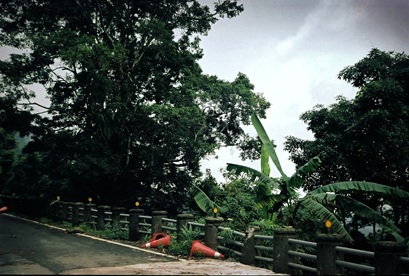 Fine art Print in Hamburg von Evi van der Kant