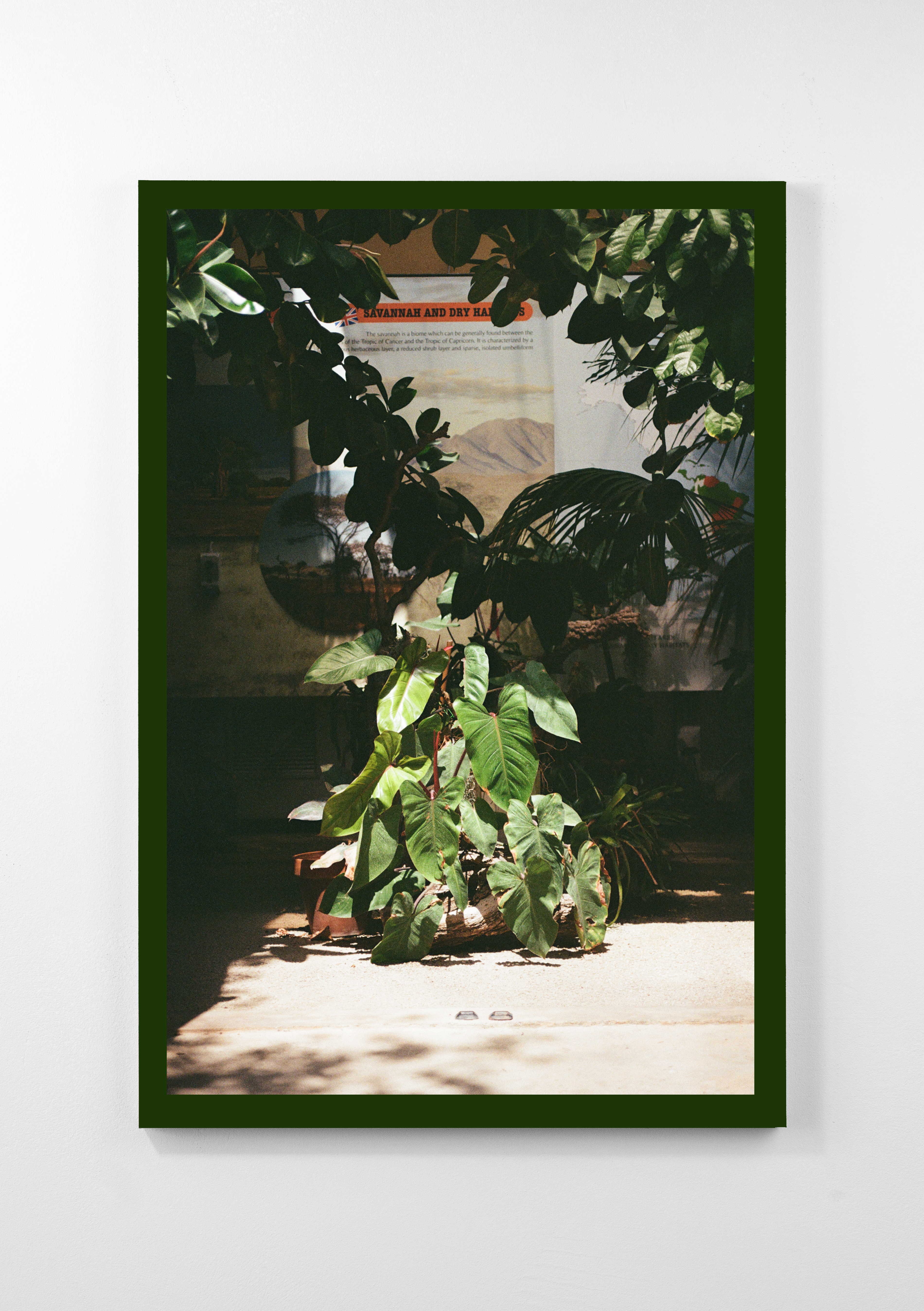 Evi van der Kant, Hamburg fotograf, Street fotografie, Analoge fotografie