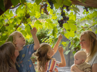 Familien-Fotoshooting Hamburg